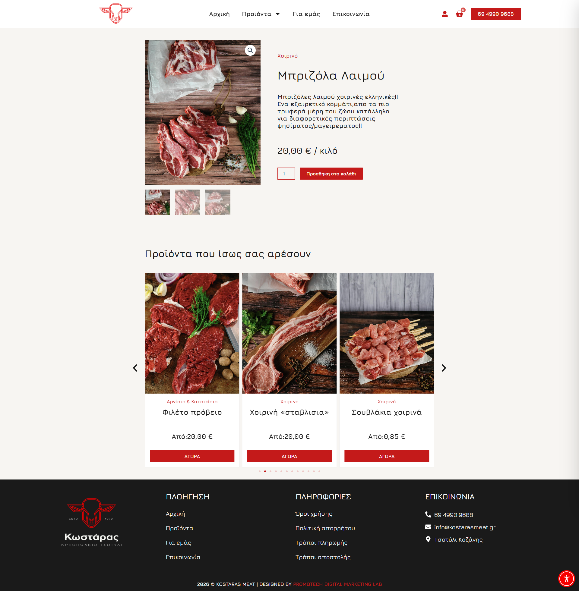 Mediluminous Homepage Preview